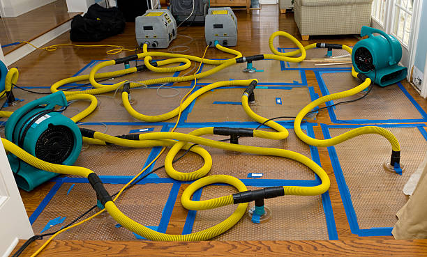 Professional Water Extraction technician working in Rainsville, AL